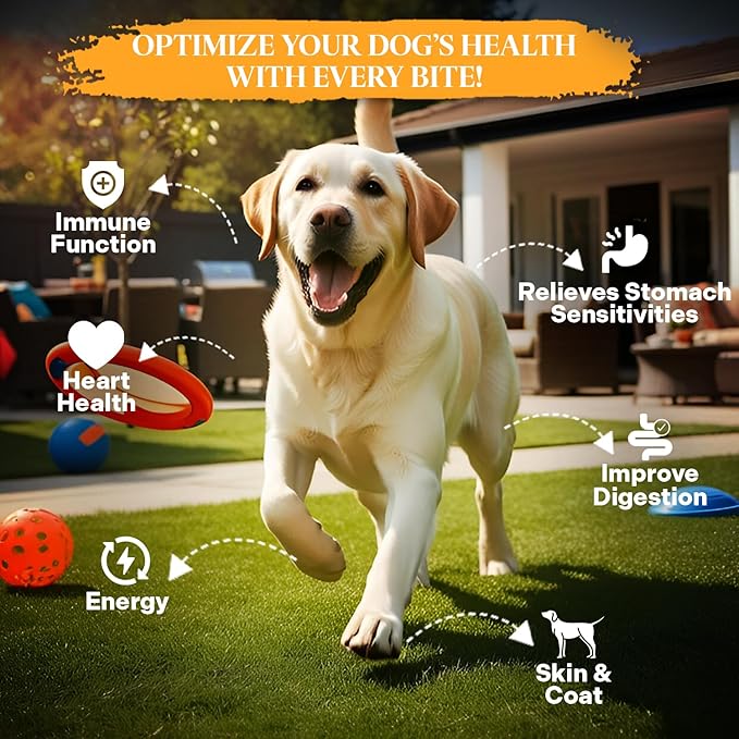 Healthy Dogma - PetMix Dehydrated Dog Food - Food for Dog Sensitive Stomach - Clean Ingredient Dog Meal - No Preservatives, Homemade Dog Food (Tender Tummy, 10lbs)