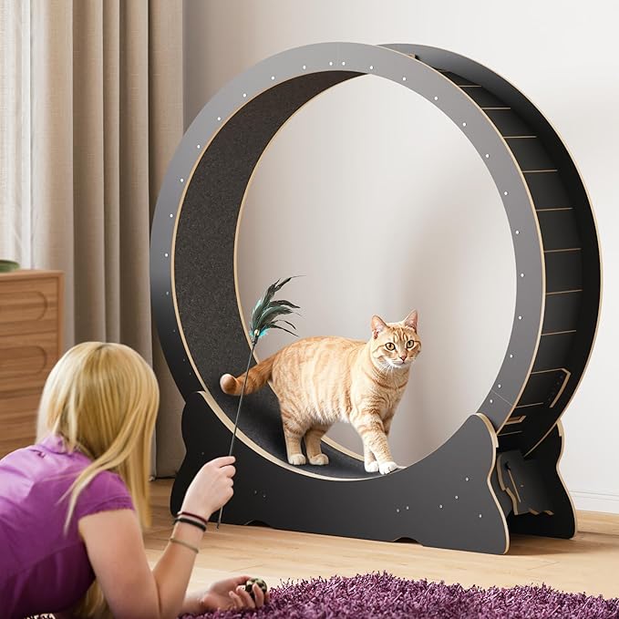 Cat Exercise Wheel, 46'' Cat Wheel for Indoor Cats with Carpeted Runway, XL Treadmill with Removable Carpet and Teaser, for Running Walking Training (Black)