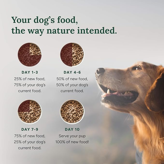 360 Pet Nutrition Freeze Dried Multi Protein Complete Meal for Adult Dogs, High Protein, Omega 3's, No Fillers, Made in The USA + Chicken Liver Treat