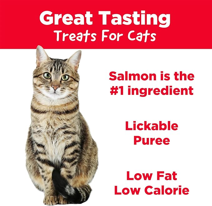 Country Kitchen Salmon Puree Lickable Cat Treats, Made with Real Salmon, 2 Oz, 4 Count