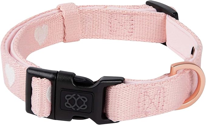 The DOGISTRY - Fi Sweetheart Collar - Luxury Design Meets Smart Tech - Crafted for Fi Series 3/3+ - Seamless Style & Craft
