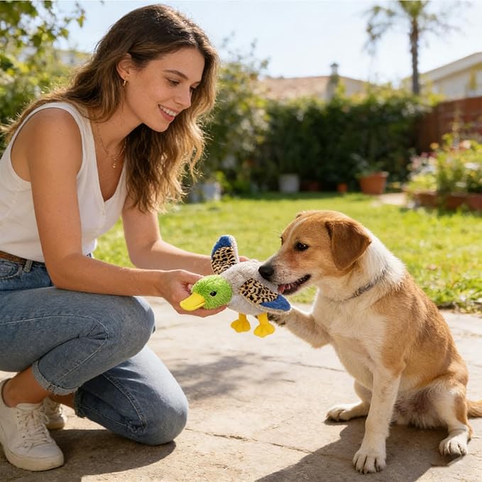 Chicken Plush | Crinkle Squeaky with Sound | Plush Dog Toys, Interactive Pet Supplies, for Puppy Play | for Training and Companionship Puppy Small Medium Large Dog Home Travel Daily Outdoor Garden