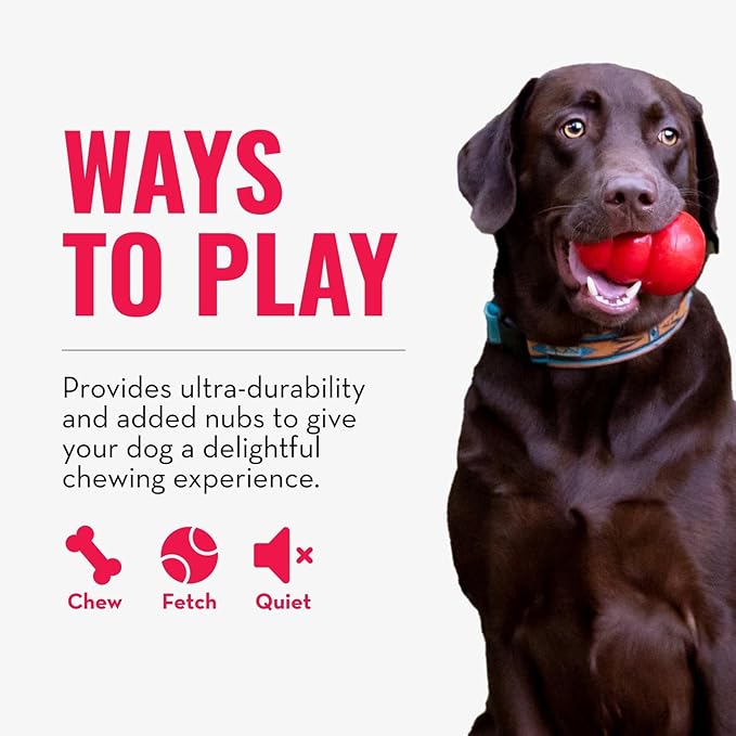 KONG Ring - Natural Rubber Ring Toy for Healthy Chewing Habits - Chew Toy Supports Dog Dental Health - Dog Toy Supports Instincts During Playtime - for Small/Medium Dogs