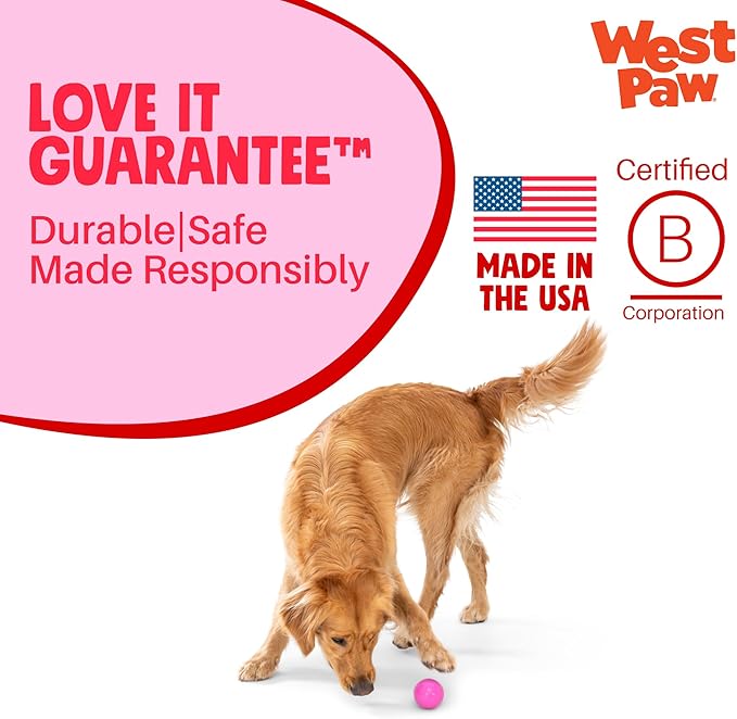 WEST PAW Boundr Ball Dog Fetch Toy – Bouncing Toys for Dogs, Fetch, Catch, Chewing, Play – Floatable, Recyclable Balls – Small Hotpink/Glow 2-Pack