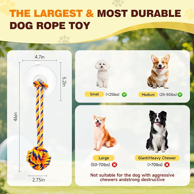 Interactive Tug-of-War Dog Toy with Strong Gel Suction Cup，Durable rope and orange chew ball，The indestructible enrichment puzzle, built for aggressive and busy chewers，For small to medium dogs