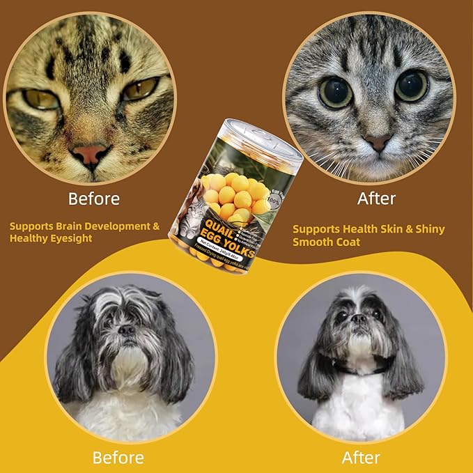 Dehydrated Quail Egg Yolk Snacks for Cats and Dogs Training, Natural Dog Food Limited Ingredient, Healthy Tasty Freeze-Dried Pet Treats for Dogs Cats (L, Quail)
