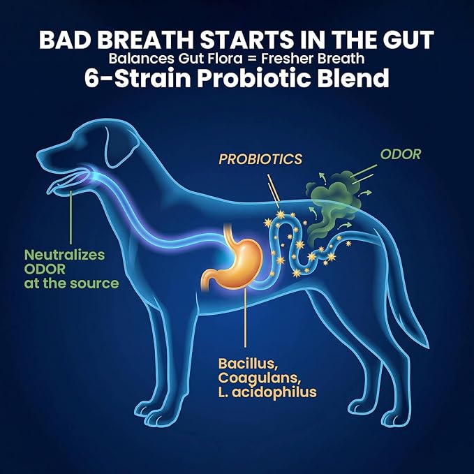 Dog Dental Powder & Breath Freshener - No-Brush Teeth Cleaning Food Topper for Plaque & Tartar Control - Oral Care: 1B CFU Probiotics, 1200mg Kelp per Scoop, SHMP - Chicken Liver, 150g