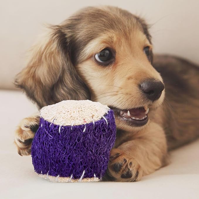SOLUSTRE 2pcs Dog Chew Natural Loofah Tennis Balls Sturdy Puppy Chewing Training Interactive Pet Chew Supplies for Dogs Random Color