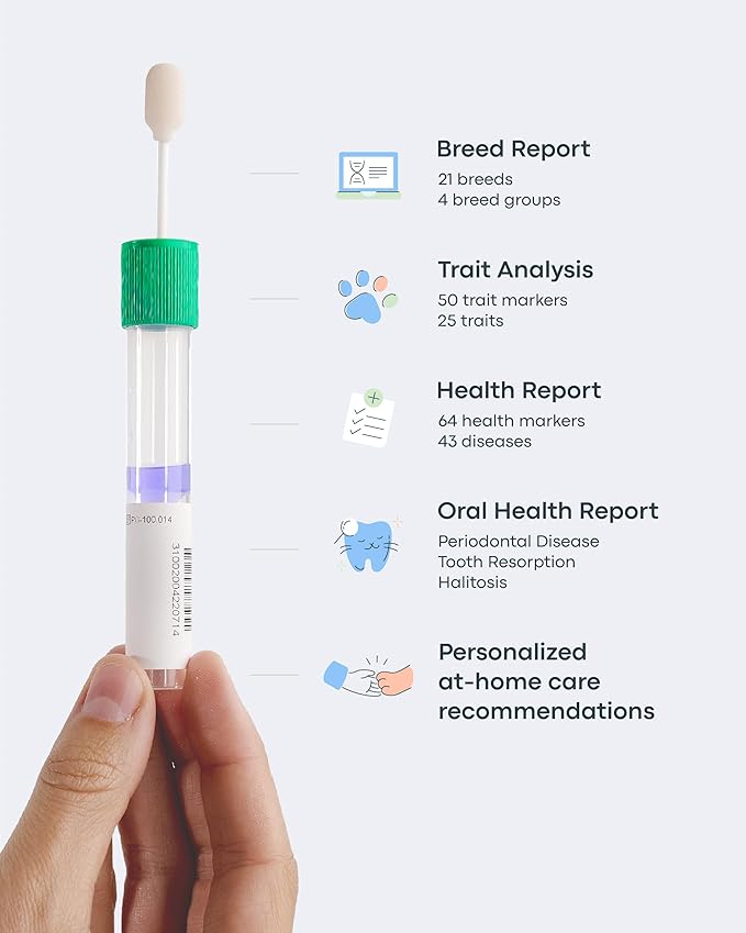 Basepaws Cat DNA Test Kit 2 Pack - 21+ Breeds, 114+ Health and Dental Traits for Comprehensive Accurate and Easy-to-Use Genetic Insights