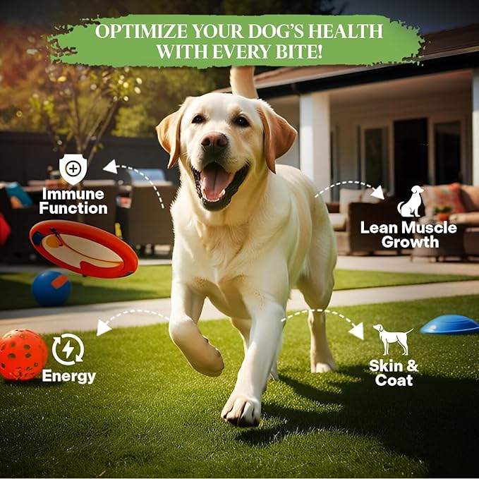 Healthy Dogma - PetMix Dehydrated Lamb Dog Food, Clean Ingredient Food - No Preservatives, Homemade Dog Food Lamb Dinner (2 lbs)
