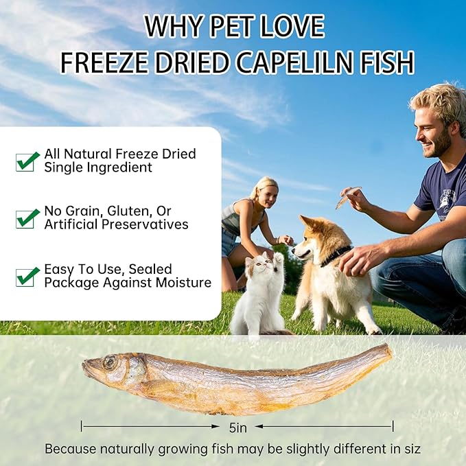 Freeze-Dried Capelin Fish Cat Dog Treats - Single Ingredient Pet Snacks High Protein & Omega-3,Grain-Free, Supports Skin & Joint Health (3.2oz)