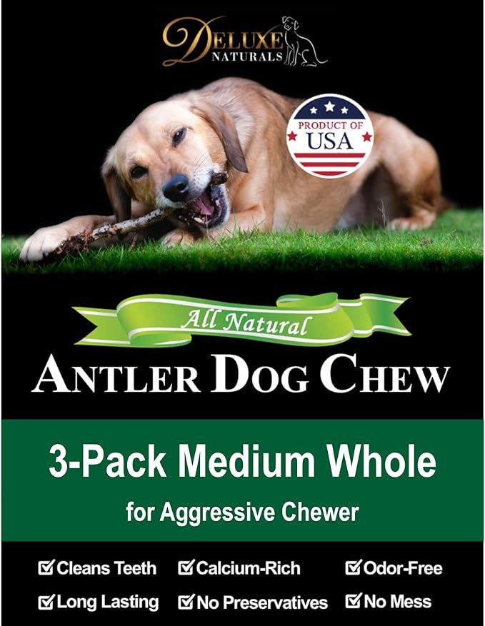 3-Pack Medium Whole Elk Antler Dog Chews (5.5-8+ in) – Long Lasting Natural Dog Chews for Medium Dogs & Aggressive Chewers Under 40 lbs – Durable Bone for Teeth Cleaning & Boredom