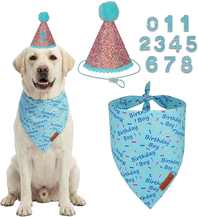 PTDECOR Dog Birthday Party Supplies, Blue Birthday Boy Bandana, Glitter Dog Birthday Hat with Numbers for Medium Large Dogs Pets (Large)