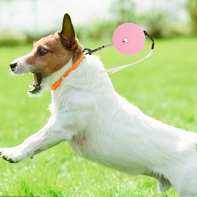 Toyvian Retractable Dog Leash 3 Meters Long Round Pink Multifunctional Rope Leash for Small Dogs Cats and Rabbits Outdoor Walking Pet Supplies Random Color