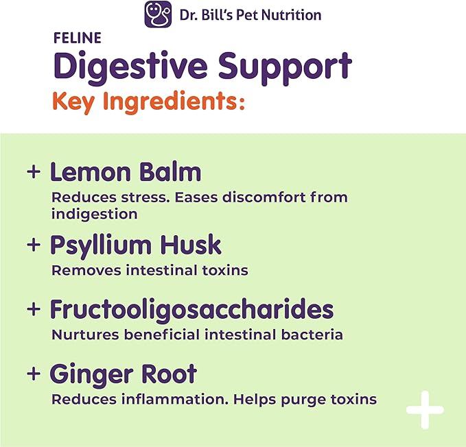 Feline Digestive & Immune Support Bundle | Cat Probiotics, Enzymes, Colostrum & Antioxidants for Gut Health, Strong Immunity & Faster Recovery | Vet-Formulated Cat Supplements