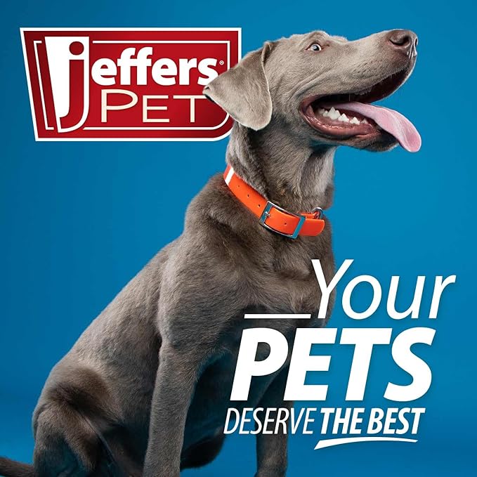 Jeffers Pet Vanilla Walnut Conditioning Shampoo for Dogs & Cats, 17 oz – Moisturizing, Soap Free Formula with Coconut & Vanilla Extract for Soft, Healthy Coat, Home Pet Care, Fresh Scent