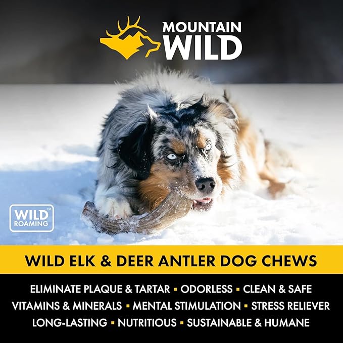 Split Antler Dog Chew, Mineral-Rich Antlers for Dogs, No Mess, No Odor, Long Lasting for Aggressive Chewers, for Medium and Large Dogs (Large)