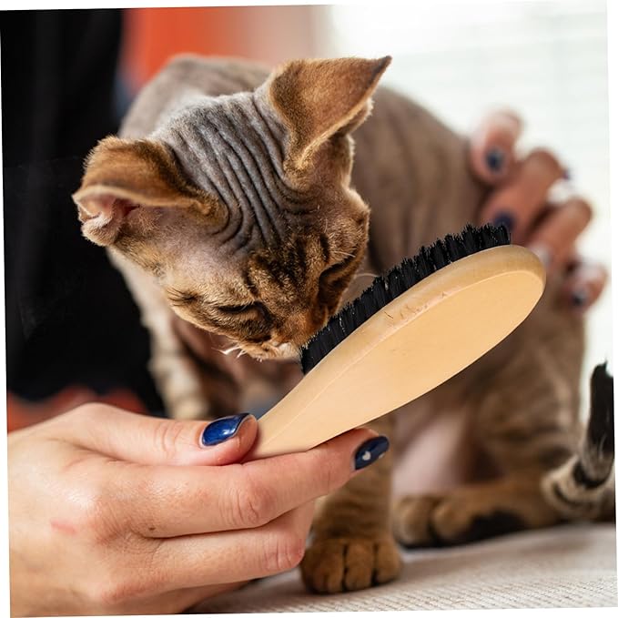 Cat Grooming Brush Boar Bristles Shoe Garment Brush Wood Handle Lint Remover Efficient