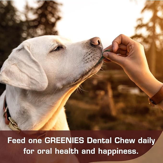 UrbanX HealthyBones Original Natural Dog Dental Care Mint Snacks Oral Health Dog Food for Havapoo and Other Med Mixed Breed Dogs, 15 Count