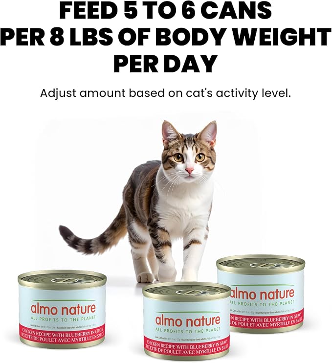 Almo Nature Supportive Formulas Immune Support Formula HQS Shredded Chicken & Blueberry in Gravy Wet Cat Food, 1.77-oz can, case of 6
