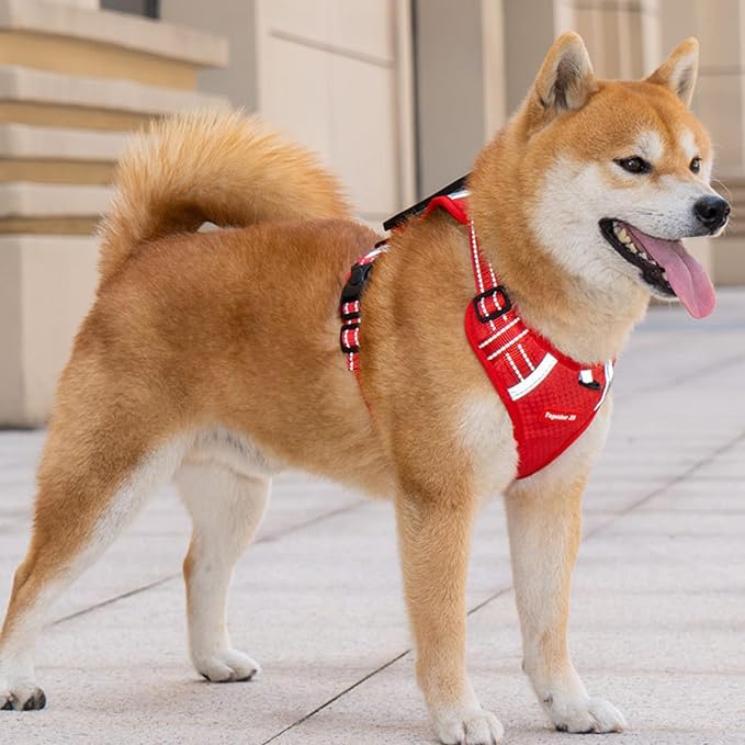 Dog Vest Harnesses Pet Strong Training Walking Swimming Supplies Soft Handle Training Vest Dog Vests for Small Dogs