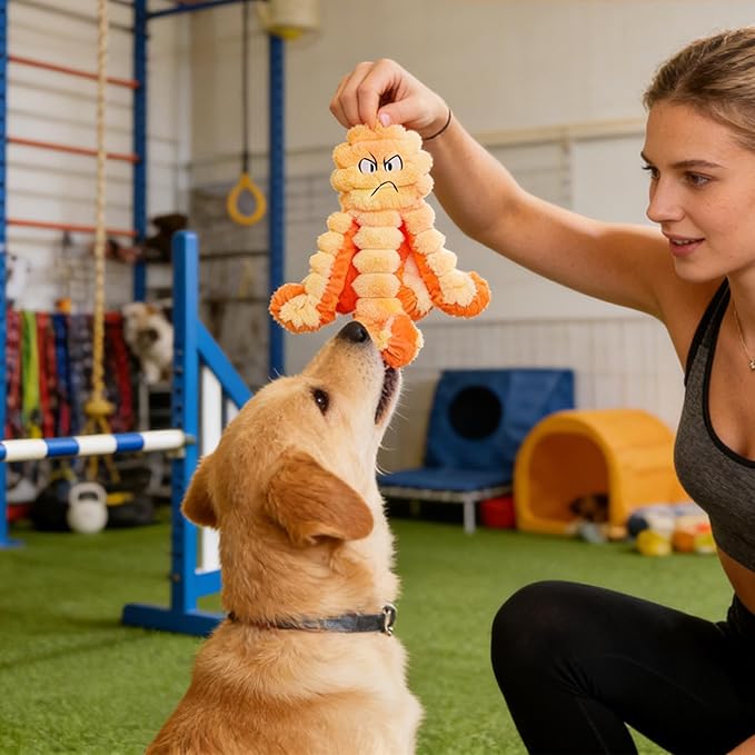 Dog Chew Toy, Interactive Octopus Pet Fetch Supplies | Puppy Chew Toy with Squeaker for Small Breed, Indoor, Outdoor, Park, C
