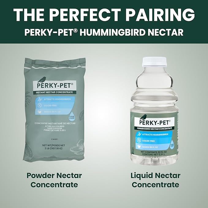 Perky-Pet 203CPBN-2 Glass Hummingbird Feeders for Outdoors with Perches, Ant Moat, Bee Guards - Pack of 2