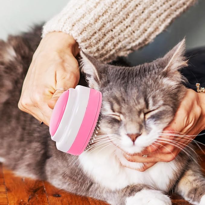 HEMOTON Pet Grooming Brush and Household Fur Comb, Multi-function Pink Plastic Deshedding Tool for Cats, Dogs, and Kittens, Portable Pet Hair Removal Accessory for Home Use