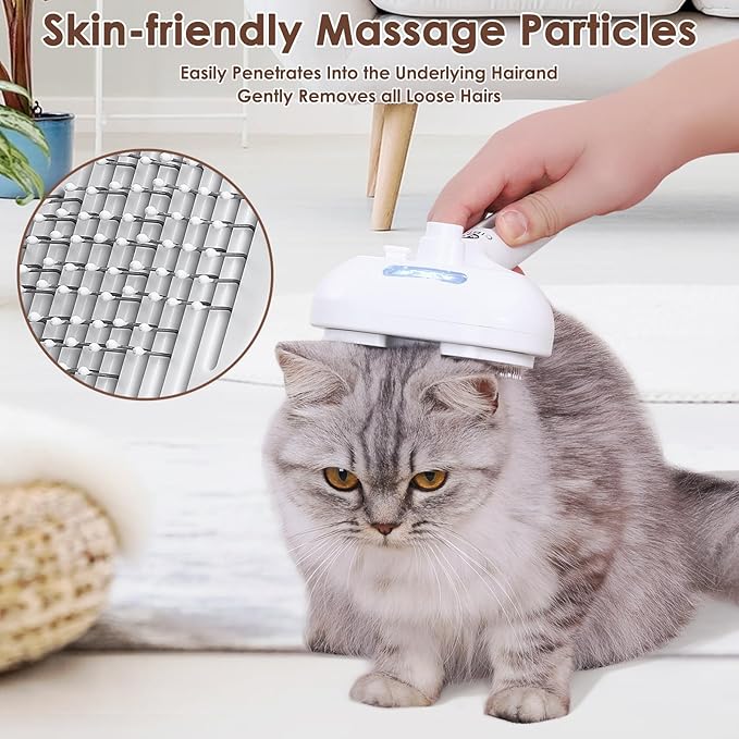 Rechargeable Cat Grooming Brush with Steam - Removes Static Hair, Easy to Clean, Friendly for Dogs