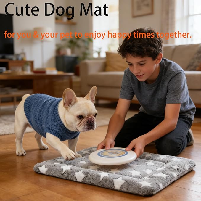 Dog Bed Mat, Reversible Dog Crate Pad - Comfortable Kennel Mat for Dogs & Cats, Machine Washable Dog Bed Suitable for Kennel, Cage or Home Travel(Gray Star, 30" L*20" W*1.5" Th)