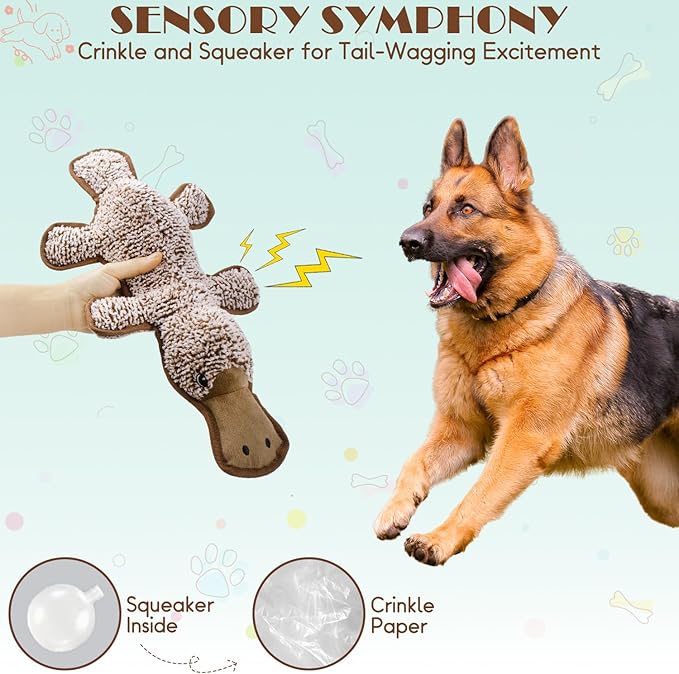 No Stuffing Dog Squeak Toys, 5 Pack Chew Toys with Crinkle to Keep Them Busy, Plush Puppy Teething Toys for Indoor & Outdoor Play, Best Birthday Gift for Large Breed