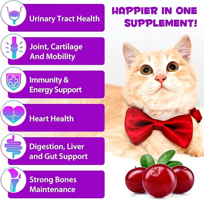 15-in-1 Multivitamin Drops for Cats, Cat Vitamins for Immune System Support, Skin & Coat, Heart Health, Bones, Joint, with Vitamins A, B, C, D, E, Liquid Supplement for All Life Stages