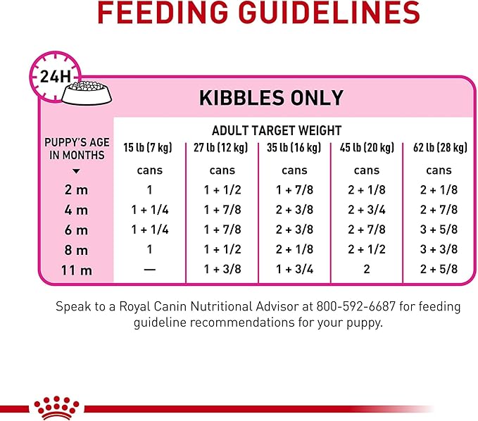 Royal Canin Canine Health Nutrition Puppy Canned Dog Food, 13.5 oz (Pack of 6)