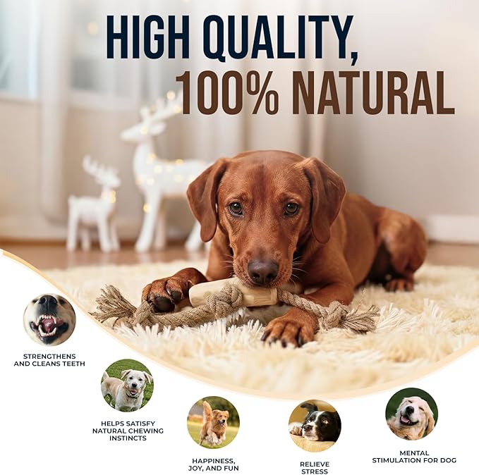Coffee Wood Tug for Dogs, Medium Toys Made of Real Coffee Wood and Hemp Rope - 100% Natural - Real Wood Chew Stick, Stress Relief, Training and Rewards