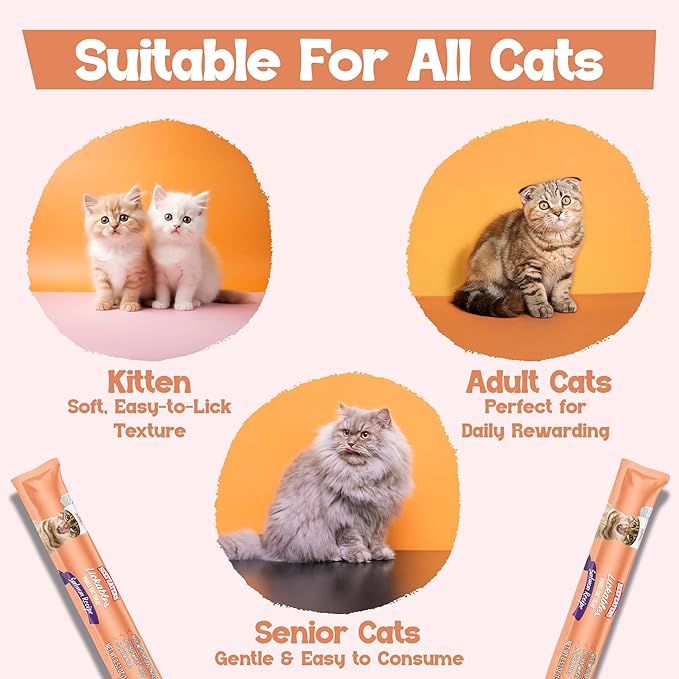 Beefeaters Salmon Pure Cat Treats 1.59oz (12 Pack) | Lickable Squeeze Tube Treats, Grain-Free, No Added Sugar, Real Salmon, Taurine-Enriched, Ideal for Bonding, Seniors, Toppers & Everyday Treating