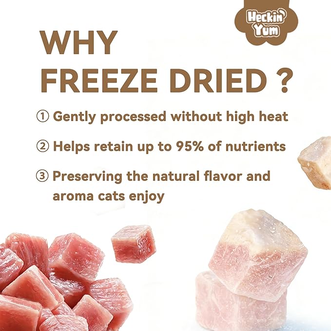 Freeze-Dried Wild-Caught Salmon Cat Treats for Skin & Coat Health, Single Ingredient High-Value Reward Snack for Cats, Grain & Gluten Free, 4 oz