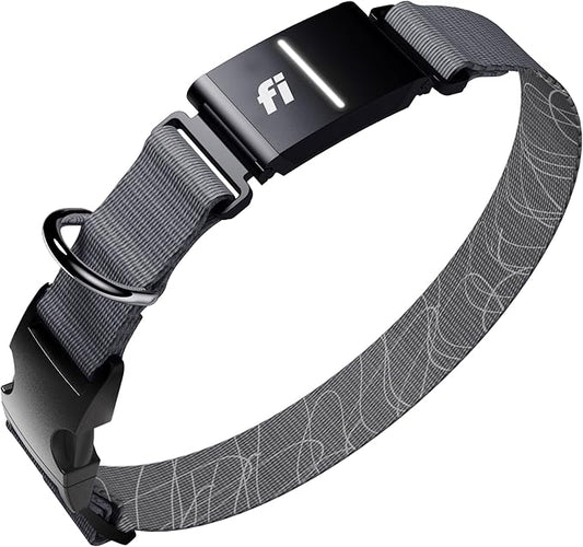 New Fi Series 3+ Smart Dog Tracker Collar [12 Month Membership Included] GPS Tracker for Dogs with Health & Behavior Monitoring, Escape Alerts, Waterproof, LED, Apple Watch Compatible (Gray, Large)