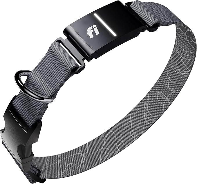 New Fi Series 3+ Smart Dog Tracker Collar [12 Month Membership Included] GPS Tracker for Dogs with Health & Behavior Monitoring, Escape Alerts, Waterproof, LED, Apple Watch Compatible (Gray, Small)