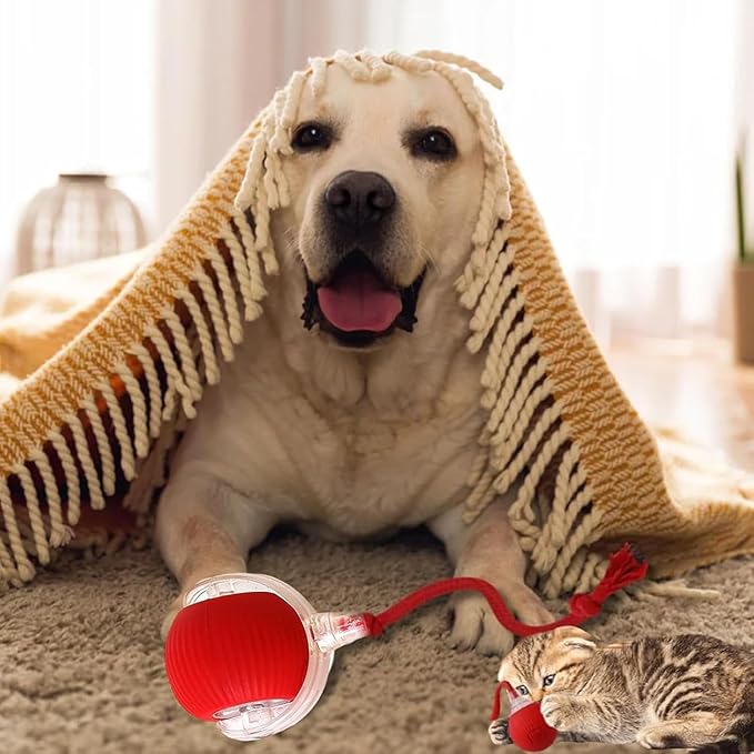 360°Interactive Rolling Cat Ball - Automatic Chew Toy for Active Cats & Small Dogs, Smart Fast Rolling Pet Toy (Green)