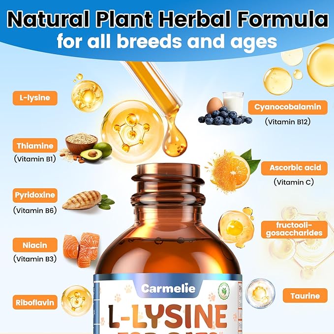 L-Lysine Supplement for Cats - Immune & Respiratory Support for Feline Health - Promotes Eye Function, Reduces Sneezing & Runny Nose - Natural Defense Boost - Roast Chicken Flavor, 60ML