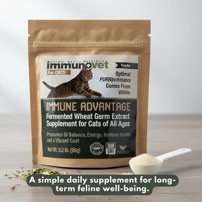 Cat Supplement Powder with Fermented Wheat Germ Extract (FWGE) – Supports Immune System, Gut Health & Energy – Natural, Non-GMO, Vet-Trusted Formula for All Cat Ages – 90g | Immunovet