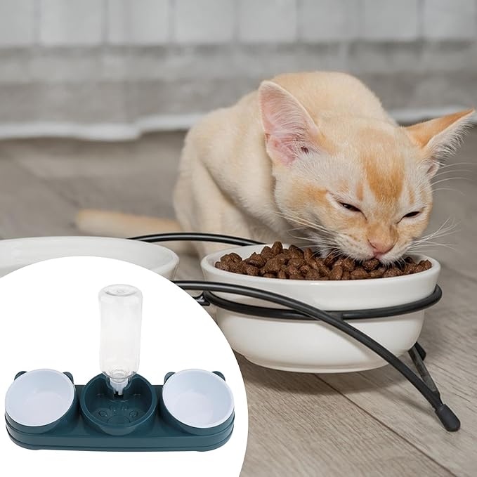 Elevated Double Bowl Pet Feeders with Automatic Water Dispenser Antislip Base for Dog Cats Daily Feeding Watering Supply - Deep Blue - Steel Bowl