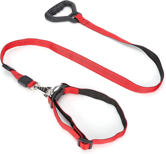 Heavy Duty Dog Leash Collar Set, Adjustable Nylon Leash with Soft PP Handle, Durable Rope Leash Collar for Small Medium Large Dogs, Pet Supply with Shock - Absorbing (Red)