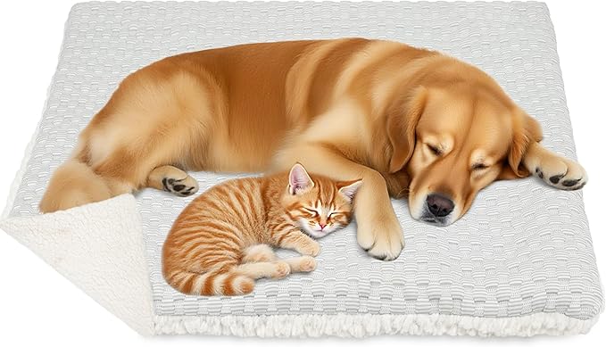 PatiencET Dog Cooling Mat, 18'' x 24" Reversible Dog Crate Pad (Cool and Warm), Pet Cooling Pad Bed with Washable Removable Cover, Soft Kennel Pad for Small Medium Dogs, Heated Warm Cat Bed