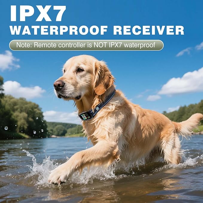 Smart Dog Training Collar for 2 Dogs, 2-in-1 Remote Control Shock Collar with AI Anti-Barking Device, IPX7 Waterproof