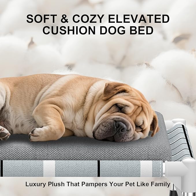 Elevated Raised Outdoor Dog Bed - Cooling Lifted Outside Dogs Bed with Cushion Mat Dog Hammock Bed with Stainless Steel Frame Portable Puppy Pet Bed for Indoor & Outdoor ((M-): 34" x 20" x 8")