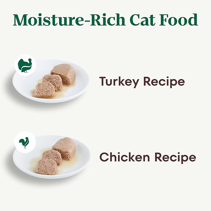 Nutro Wet Cat Food Pate Multipack: Cat Food Wet Turkey Recipe and Chicken Recipe, 2.64 oz. Trays (12 Count, Pack of 2)