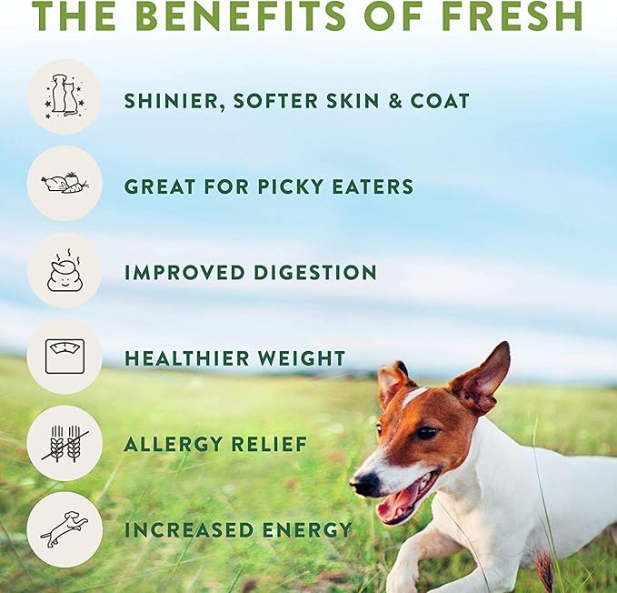 Freshpet Select Roll Small Wet Dog Chicken & Turkey Recipe Refrigerated Wet Dog Food - Made in The USA - 3 Pack (3 / 1lb. Logs)