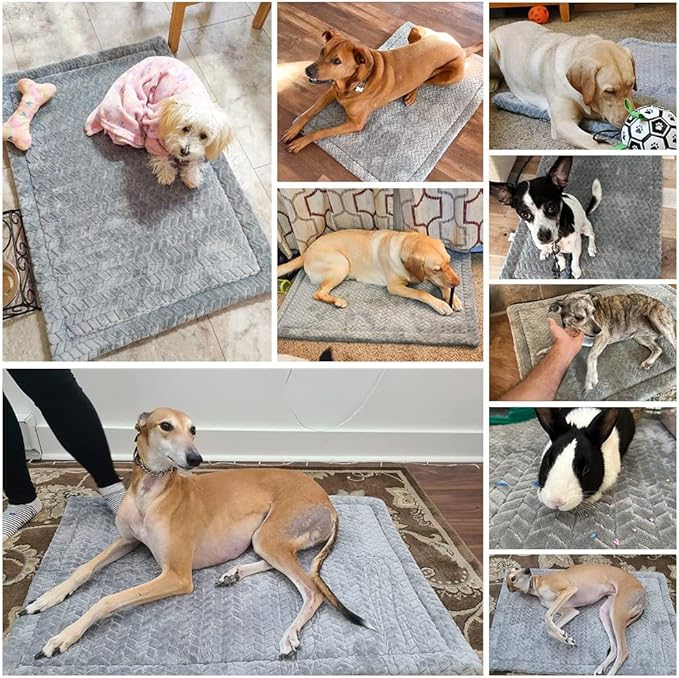 BEAUTYZOO Dog Bed Crate Pad 30 x 20 inch, Washable Dog Crate Mat for Medium Sized Dogs, Anti-Slip Pet Crate Bed Kennel Pad, Durable Cozy Puppy Sleeping Mat Rectangle Mattress, Grey