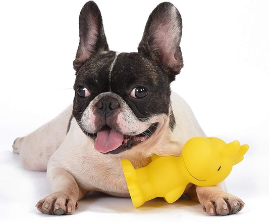 Peanuts for Pets Charlie Brown Woodstock Vinyl Squeaker Dog Toy | Squeaky Dog Toy for All Dogs | Charlie Brown Plastic Dog Toys for Aggressive Chewers - Fun and Cute Yellow Dog Chew Toy, 5.5 Inch